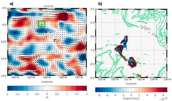 Vorticity computed from currents for the date of both blooms, and frontogenesis computed from Chlorophyll-A gradients (red intensification of the gradient, blue relaxation), and FSLE contours of 0.5 or 0.4 /day in green, highlighting the front driven by the convergence of flows (Credit Ifremer/IRD)