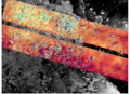 En couleurs, la topographie mesurée par KaRIn (résolution de 250m, bleu : faibles hauteurs, rouge : hauteurs plus importantes), superposées à des données du SAR imageur « classique » de Sentinel-1A (décalage d’un jour entre les deux mesures). (Crédits Cnes/CLS/JPL)