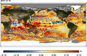 Animations of Maps of sea level anomalies  (MSLA) Gulf Stream 2012-2013