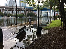 Miami pendant une grande marée (crédits Miami Dade County)