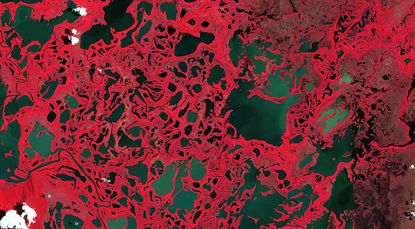 Sentinel-2 optical image over part of the Pantanal area for 2019-02-06: the mix of waters and vegetation (in red) is clearly shown (Credits Sertit/ICube)