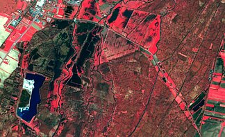 Image optique Sentinel-2A d'une zone humide près de Sélestat (Alsace, France). (Crédits Sertit/Icube)