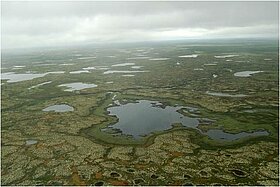 Photo de la région, prise d'un avion. (Crédits E. Zakharova/A. Kouraev)