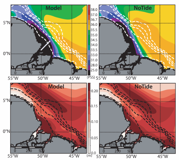 Moyenne à long terme modélisée de la salinité de surface (en haut), de la hauteur de mer (en bas). La simulation de référence est à gauche, la simulation sans marées (NoTide) à droite. La ligne blanche continue en haut à gauche indique l'emplacement de la section affichée sur la section de salinité ci-dessous, les lignes en pointillés sont les contours de la bathymétrie. (crédit IRD)