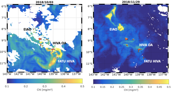 Cartes de chlorophylle A montrant chacun des deux épisodes de prolifération de phytoplancton détectés (crédits Ifremer/IRD)
