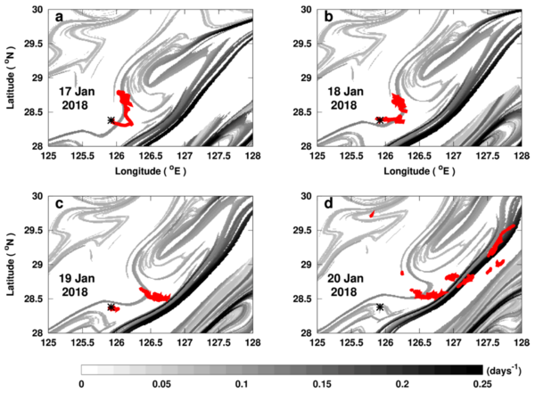 Gray-scaled filament-shaped fronts: daily backward finite-size Lyapunov exponent fronts (FSLE) in the East China Sea at the time when there was an oil spill. Black fronts reveal highly attractive and stretching zones. The black asterisk in all panels indicates the location where the Sanchi tanker, at the origin of the spill, sank. The red patch represents the day by day evolution of the leaked oil (from satellite images) from January 17th to 20th 2018. (credit Locean/IPSL, oil spill data CLS)