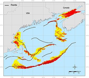 Carte de prévision d'accumulation de déchets marins flottants. Les zones jaunes et rouges correspondent à des zones d'accumulation ; le rouge indique une probabilité supérieure à 50 %, tandis que le jaune indique une probabilité inférieure à 50 % ; les lignes noires représentent des fronts océaniques (d'après [Le et al., 2026])