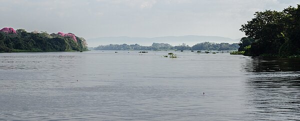 Photo of the Pantanal area in July 2018, during the seasonal flood (Credits PA Garambois)
