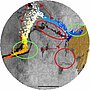 Simulation de dérives des nappes de pétrole du Prestige en novembre 2002 avec le modèle de dérive Mothy et assimilation des courants Mercator à 103 m. Simulation de dérives des nappes de pétrole du Prestige en novembre 2002 avec le modèle de dérive Mothy et assimilation des courants Mercator à 103 m.