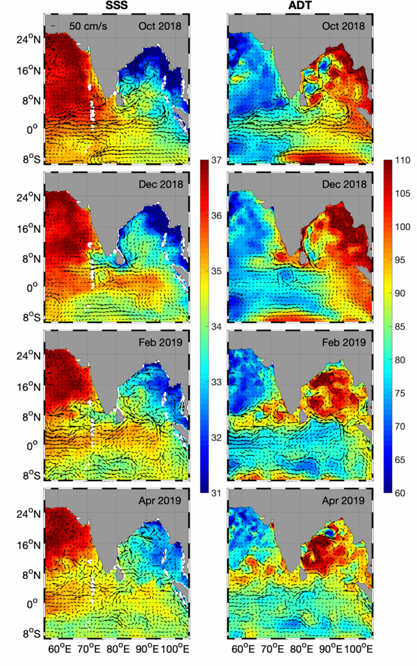 Sea surface salinity (SMAP-CAPv4.2 (JPL) SSS, left in psu) and NRT merged gridded altimetry absolute dynamic topography (ADT: right; cm) overlaid with geostrophic derived absolute currents (vectors; cm/s) every two months leading to the onset of the 2019 southwest monsoon. The freshwater and salinity exchange between the Bay of Bengal is highlighted in the progression of sea surface salinity from October 2018 through April 2019, where low salinity water from the Bay of Bengal is transported by the East India Coastal Current (EICC), visible in Absolute dynamic topography data, around Sri Lanka and the tip of India into the southeastern Arabian Sea. (Credit University of South Carolina) 