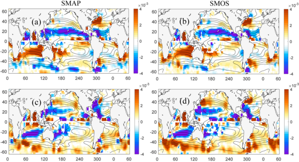 Flux de de sels tourbillonnaires, estimés par la combinaison des données SMOS (à droite) et SMAP (à gauche) et des données altimétriques -- à la fois des anomalies et des trajectoires de tourbillons. En haut, flux de sel méridional (positif vers le nord, négatif vers le sud), en bas flux de sel zonal (positif vers l'est, négatif vers l'ouest) (crédit International Pacific Research Center, d'après [Melnichenko et al., 2021]) 