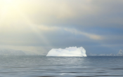 the iceberg