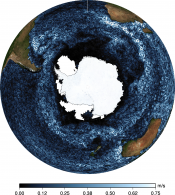 Animations of geostrophic velocities from sea level anomalies  (MSLA) Antarctic Circumpolar Current 2012-2013