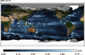 Animations of geostrophic velocities from sea level anomalies  (MSLA) Global Ocean 2012-2013