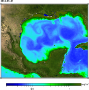 Chlorophyll Loop Current 2014