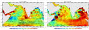 Monsoon currents in Indian Ocean 