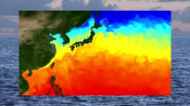 Mesoscale video